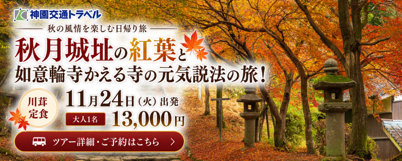 神園交通トラベル貸切バス旅行
